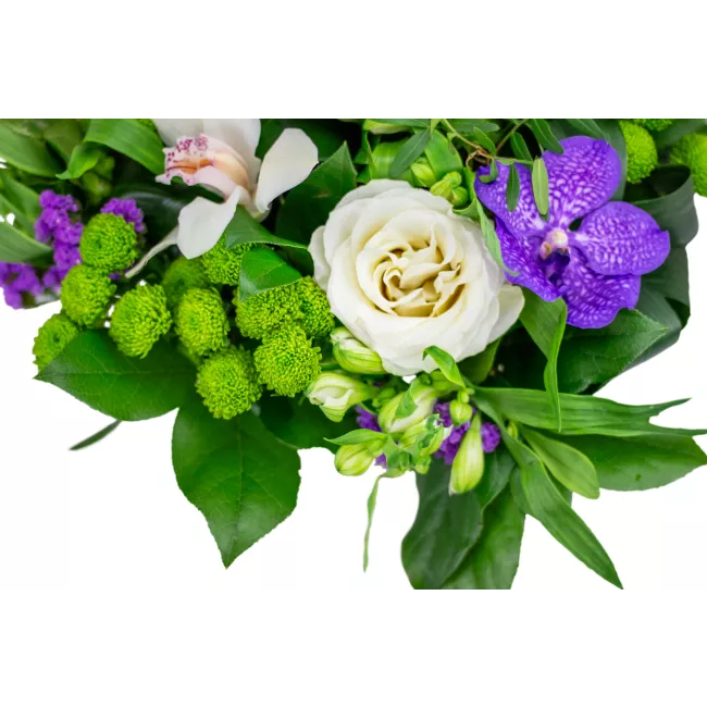 Bouquet of purple flowers